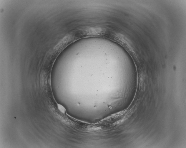 X0000067870257200604171231