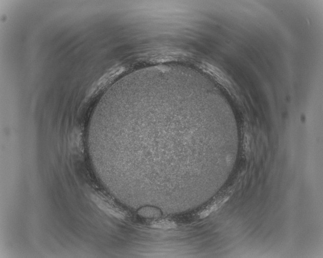 X0000067870258200604171231