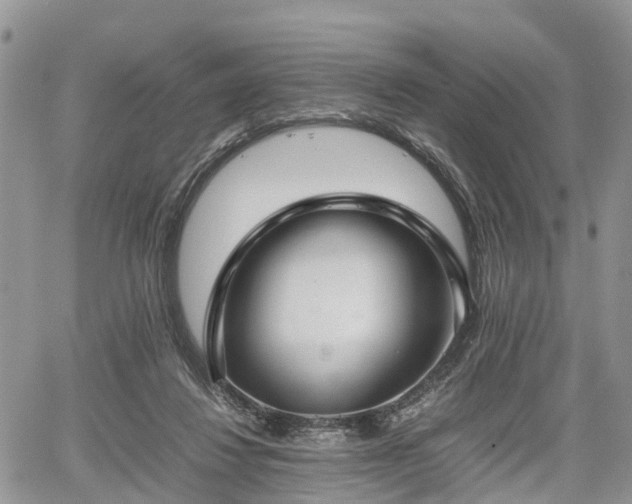 X0000067870260200604171231