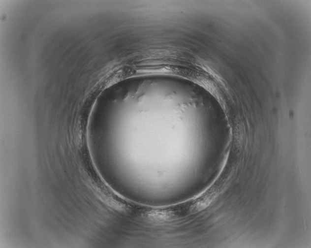 X0000067870261200604171231