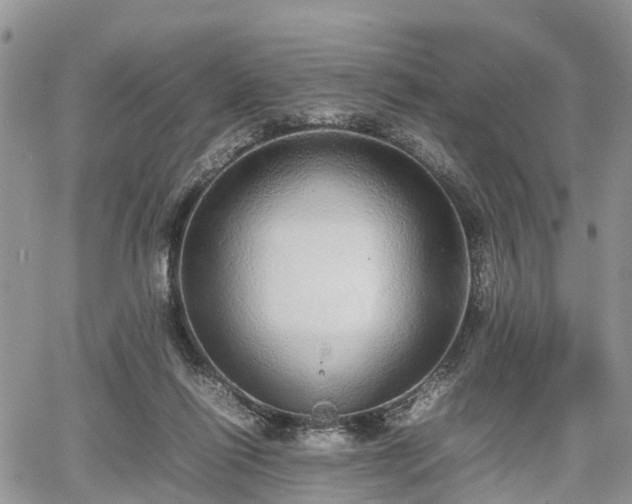 X0000067870262200604171231