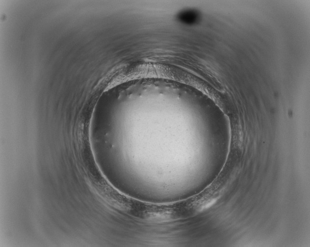 X0000067870263200604171231