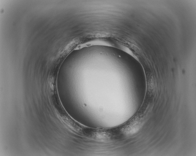 X0000067870264200604171231