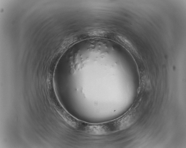 X0000067870265200604171231