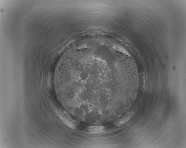 X0000067870266200604171231