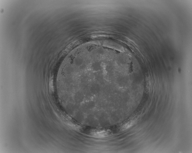 X0000067870267200604171231