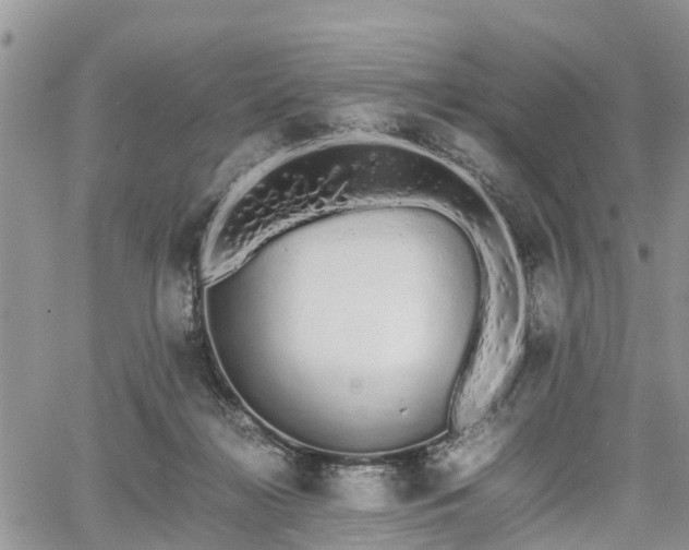 X0000067870268200604171231