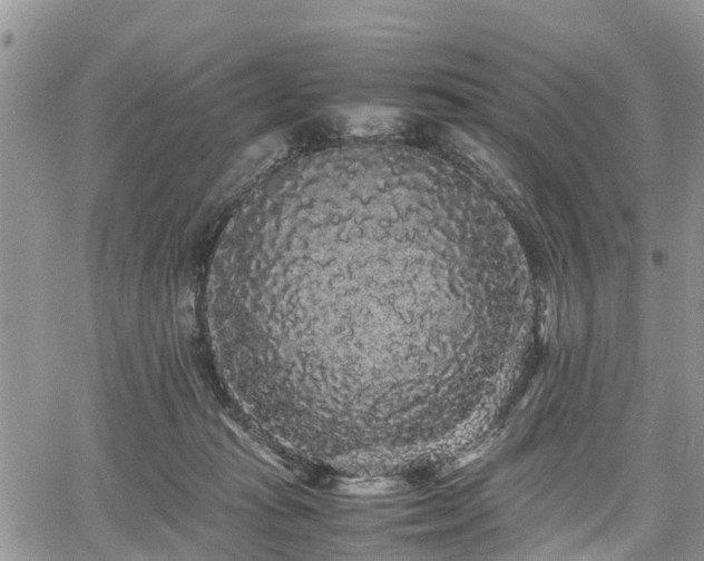 X0000067870269200604171231