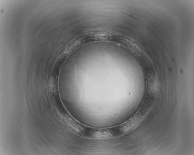 X0000067870270200604171231