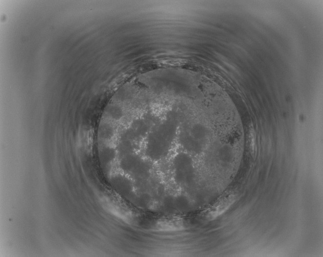 X0000067870271200604171231