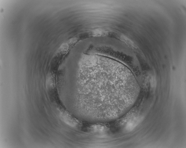 X0000067870272200604171231