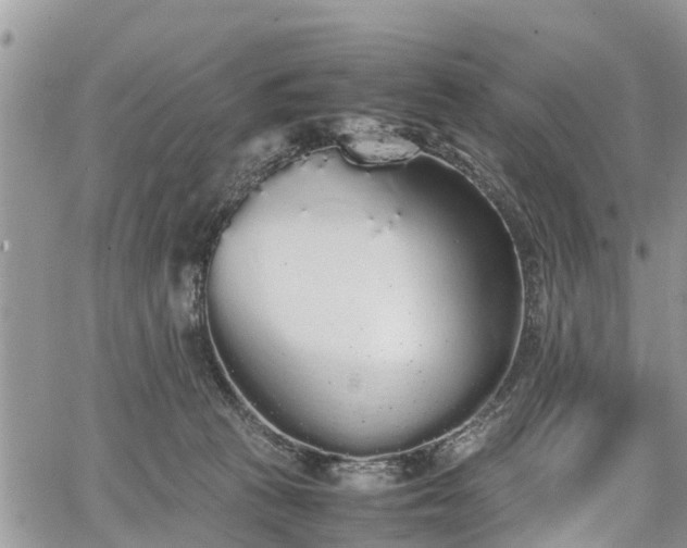 X0000067870273200604171231