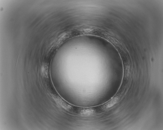 X0000067870274200604171231