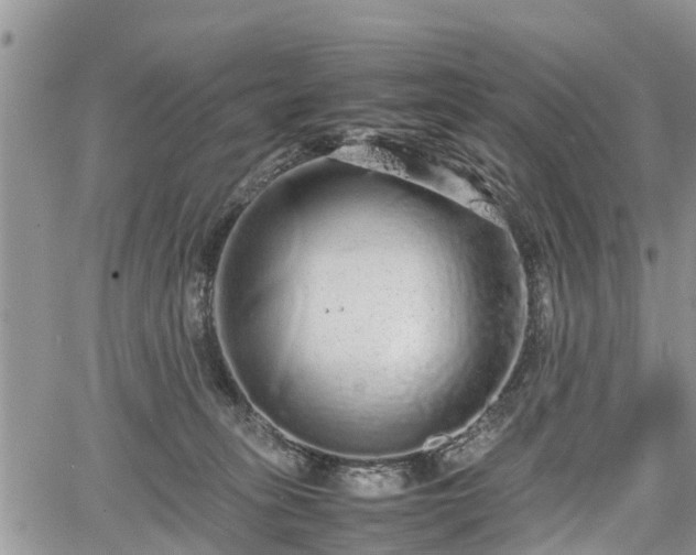 X0000067870275200604171232