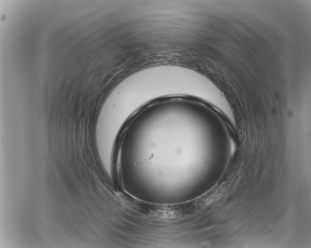 X0000067870276200604171232