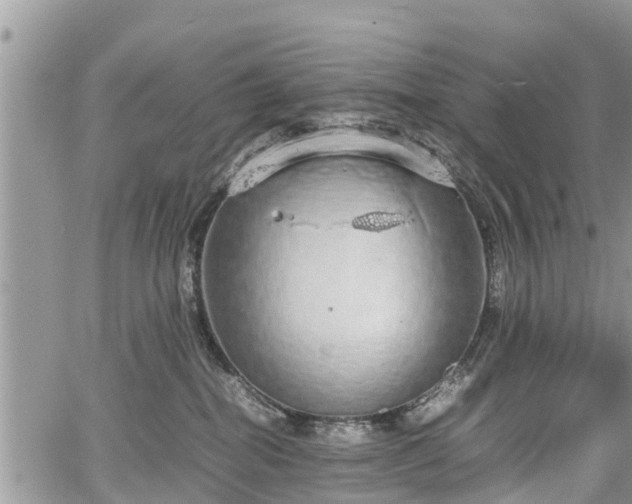 X0000067870282200604171232