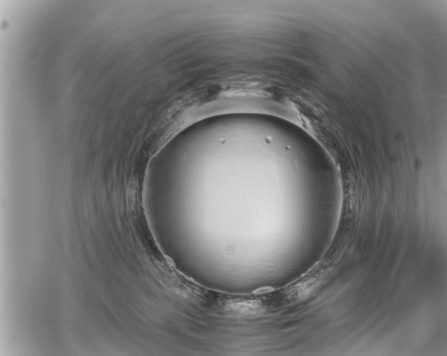 X0000067870283200604171232