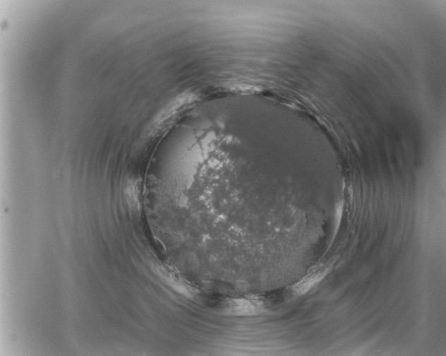 X0000067870286200604171232