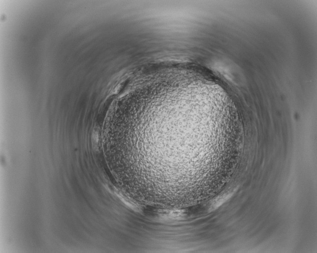 X0000067870288200604171232