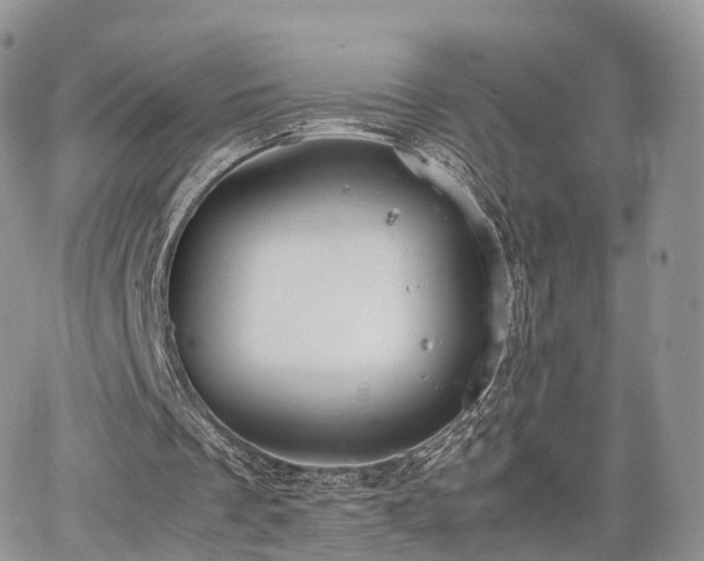 X0000067870289200604171231