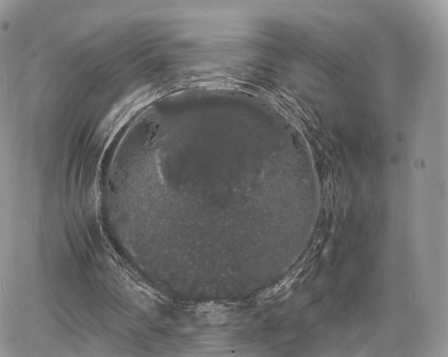 X0000067870290200604171231