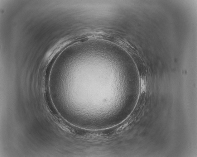 X0000067870291200604171231