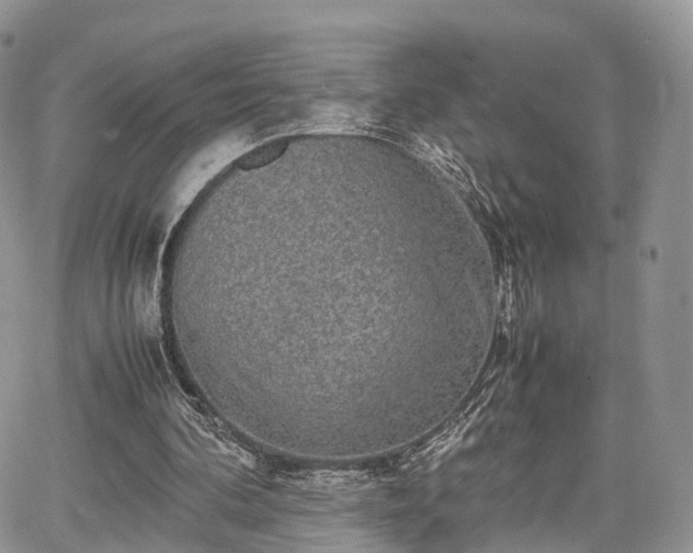 X0000067870292200604171231