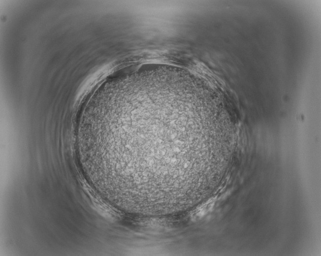 X0000067870293200604171231