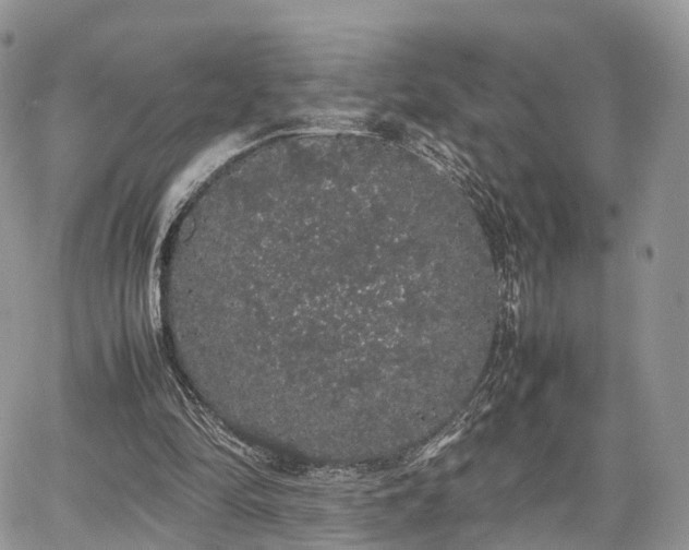 X0000067870294200604171231