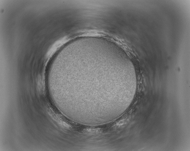 X0000067870296200604171231