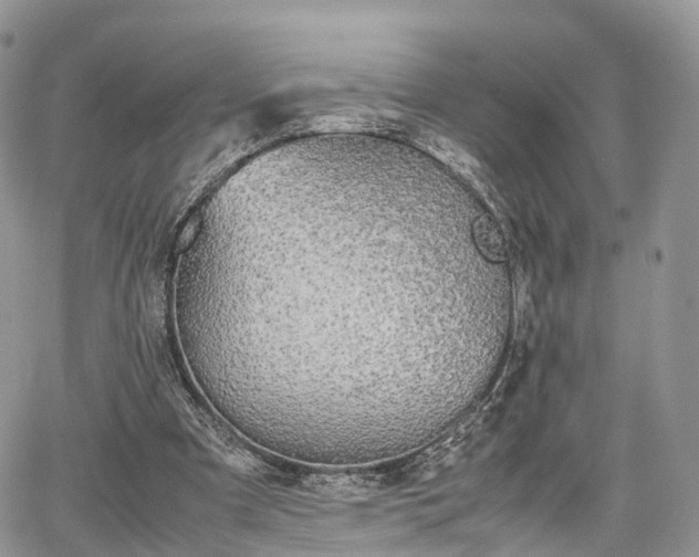 X0000067870297200604171231