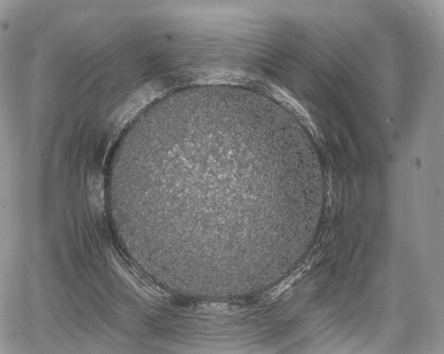 X0000067870298200604171231