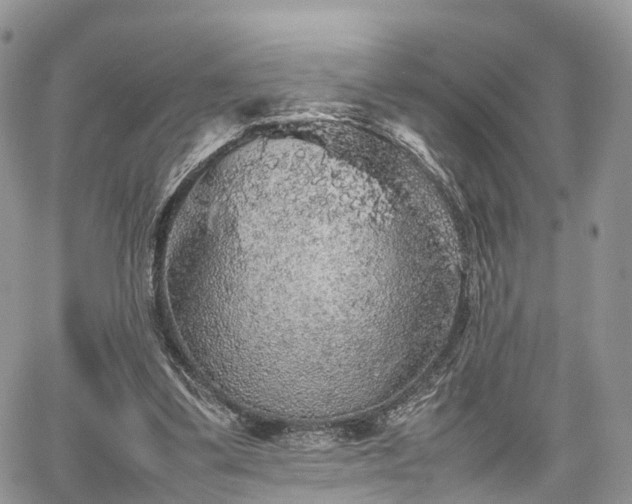 X0000067870299200604171231