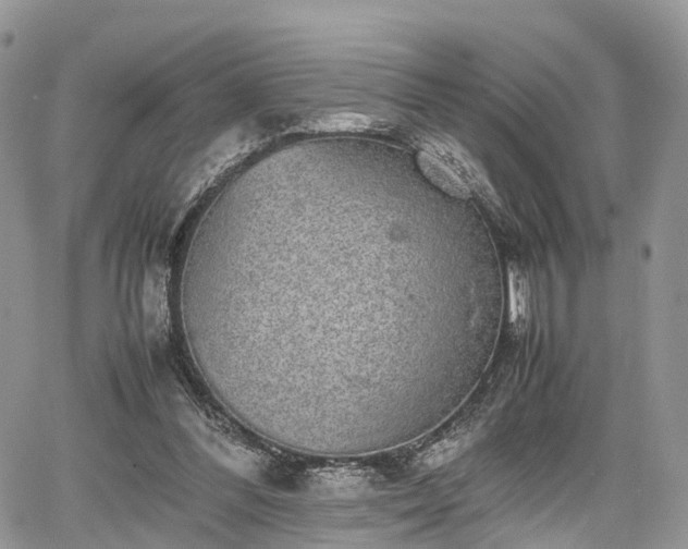 X0000067870300200604171231