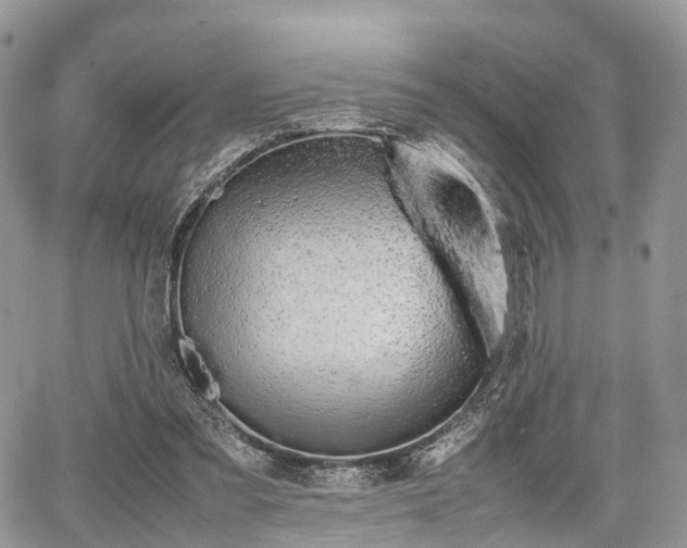 X0000067870301200604171231