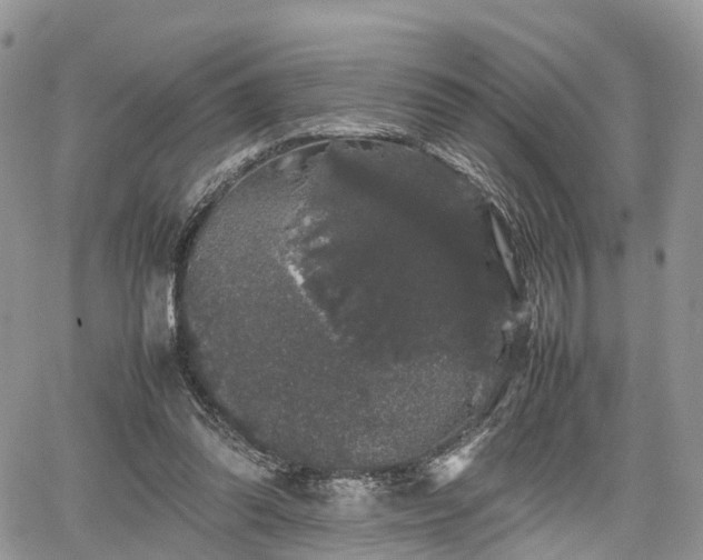 X0000067870302200604171231