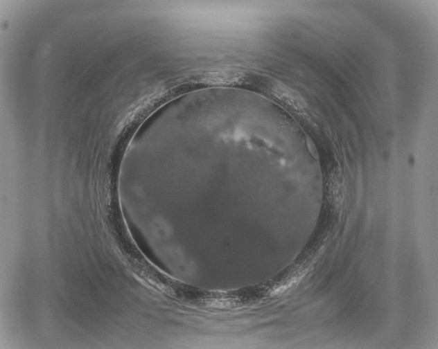 X0000067870303200604171231