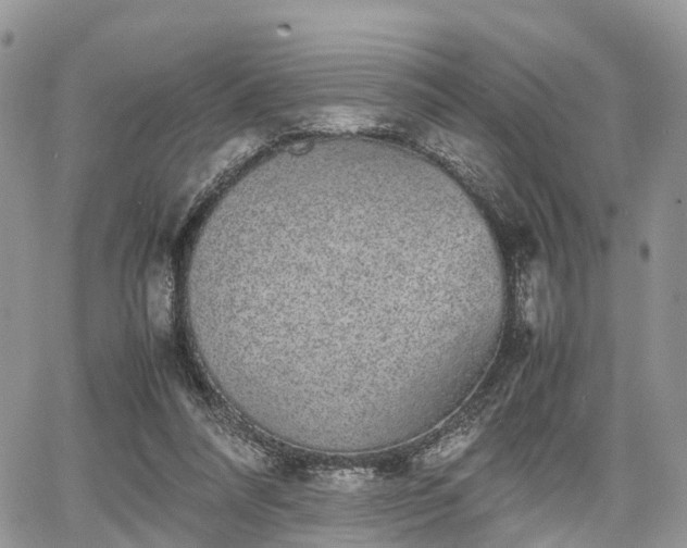 X0000067870304200604171231