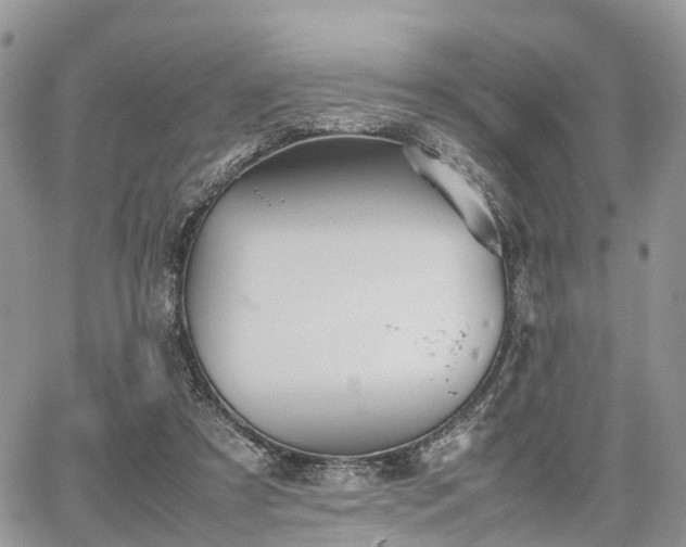 X0000067870305200604171231