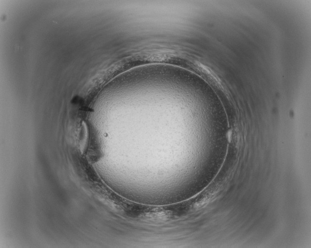 X0000067870307200604171231