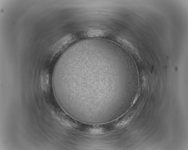 X0000067870308200604171231