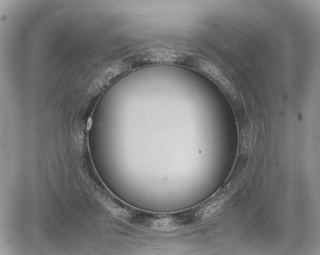 X0000067870309200604171231