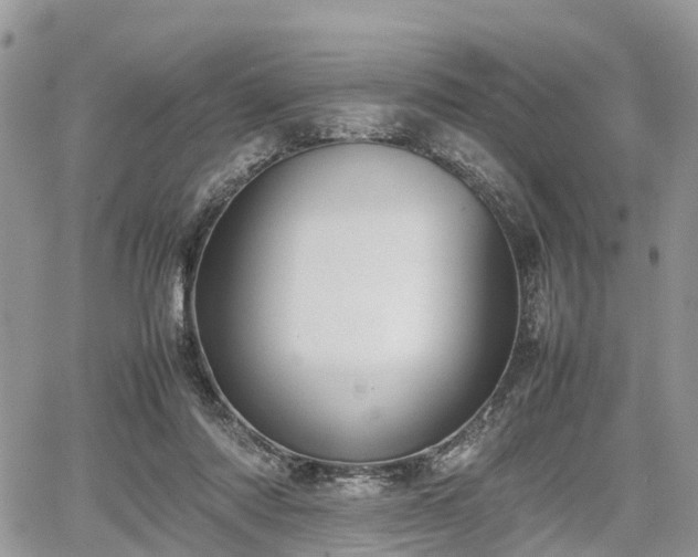 X0000067870310200604171231