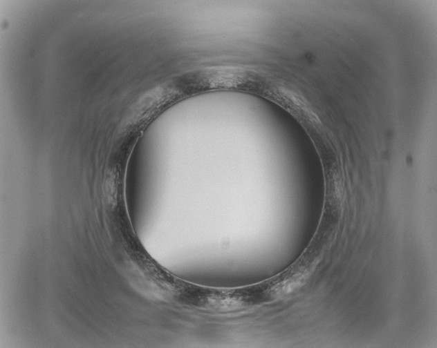 X0000067870311200604171231