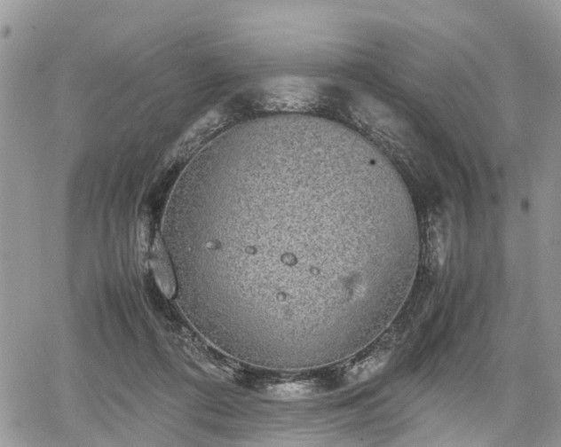 X0000067870312200604171231