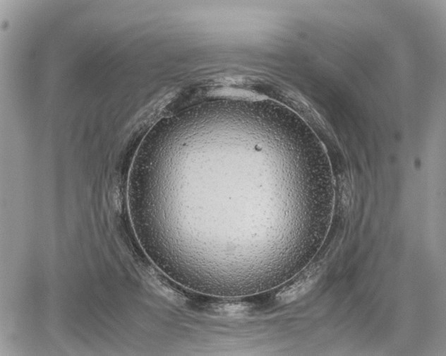 X0000067870313200604171231