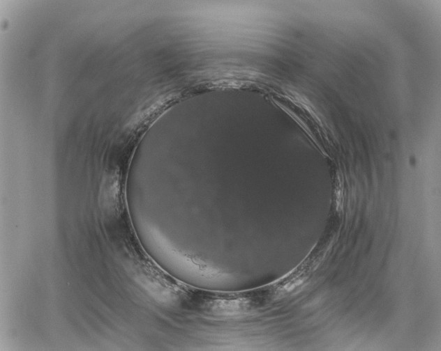 X0000067870314200604171231