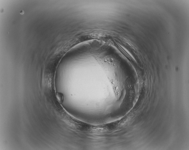 X0000067870315200604171231