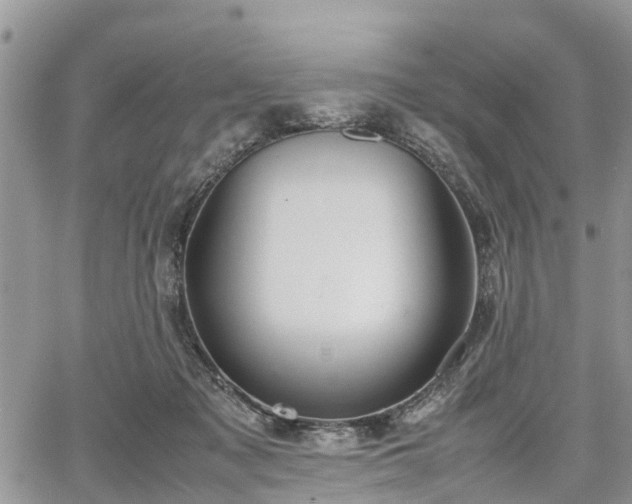 X0000067870317200604171230