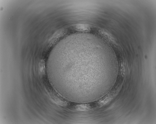 X0000067870320200604171230